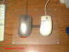 2mouse_icemat.jpg (22583 bytes)